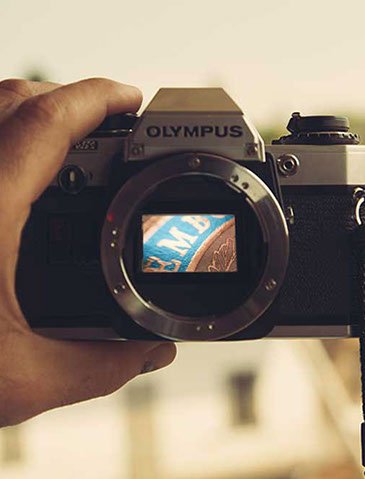 buy a fake degree that looks real