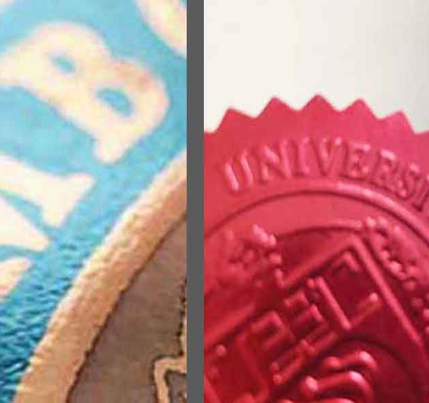 Best Looking Fake Degrees