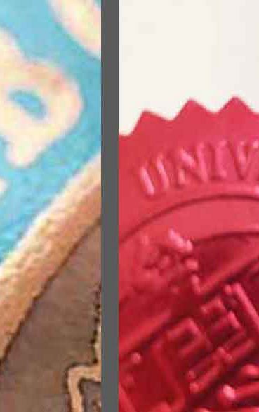 Best Looking Fake Degrees