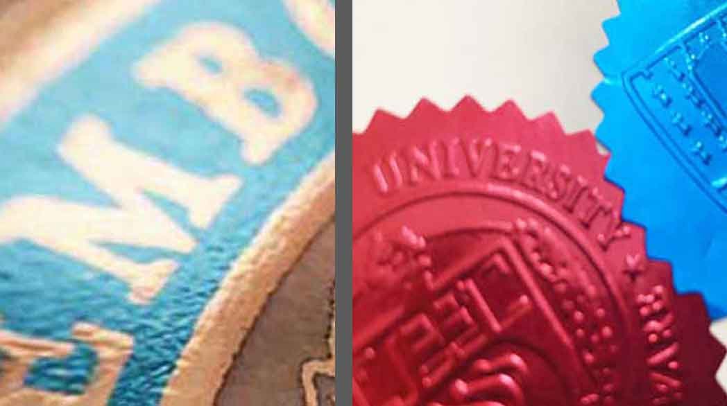 Best Looking Fake Degrees